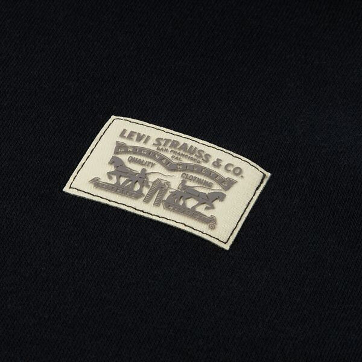 LEVI'S KIDS Sweat à capuche, texte imprimé sur une manche, en molleton