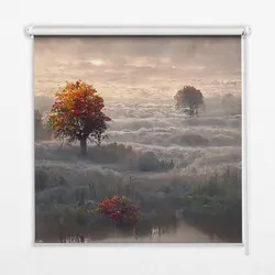 INNENROLLO - Fensterrollo - Rollo - 90x180 cm - Bäume im Nebel