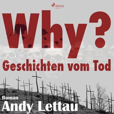 Why? - Geschichten vom Tod (Ungekürzt) - Andy Lettau, Audio, 9788711653357