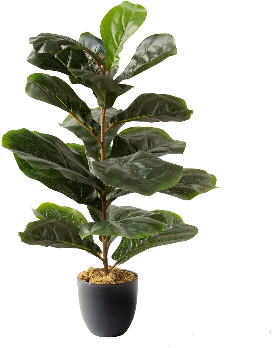 Kunstmatige Ficus boom - Donkergroen - Hoogte: 71 cm