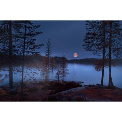 Fototapete PAPERMOON "Photo-Art NIKKI GEORGIEVA V, ROTER MOND", bunt, B:5m L:2,8m, Vlies, Tapeten
