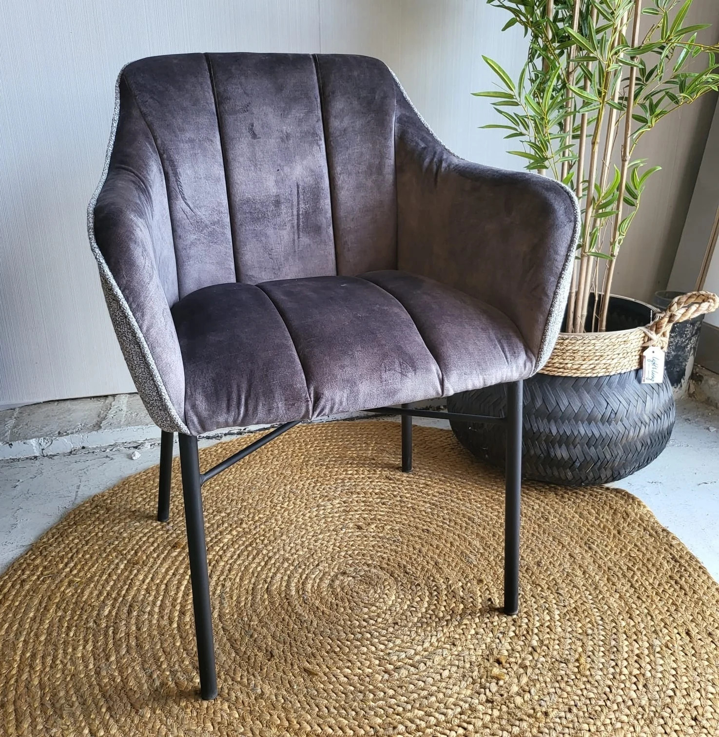 Benoa Eettafelstoel Malaga met armleuningen - Venus beige - Velvet