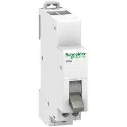 Schneider Electric Wechselschalter 1W 20A ISSW A9E18070