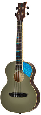 Ortega RUGH-PLT Platin