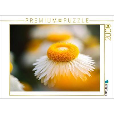 CALVENDO Puzzle White Orange | 2000 Teile Lege-Größe 90x67cm Foto-Puzzle für glückliche Stunden