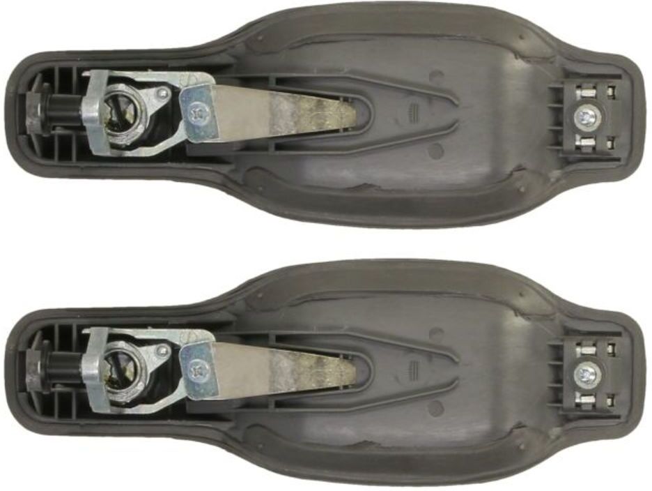 Poignée de porte extérieure BLIC 5050-00-IV2604