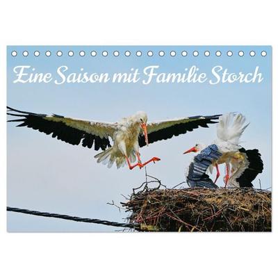 Eine Saison mit Familie Storch (Tischkalender 2026 DIN A5 quer), CALVENDO Monatskalender