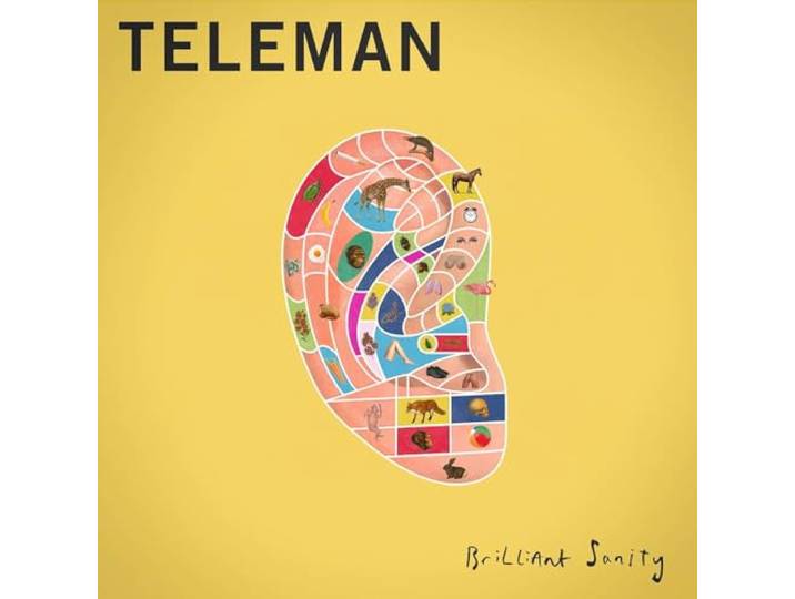 Teleman - Brilliant Sanity