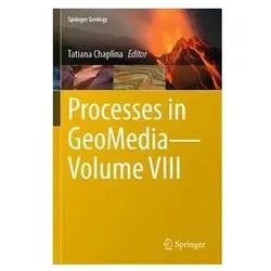 Processes in GeoMediaVolume VIII, Fachbücher von Tatiana Chaplina