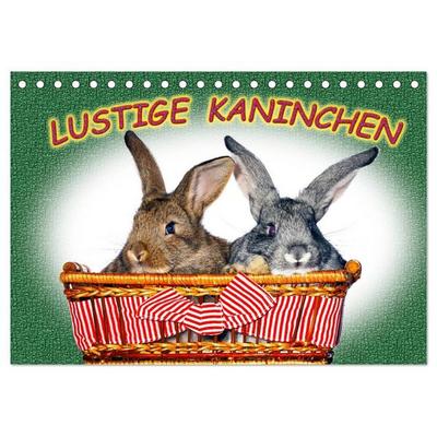 Lustige Kaninchen (Tischkalender 2026 DIN A5 quer), CALVENDO Monatskalender