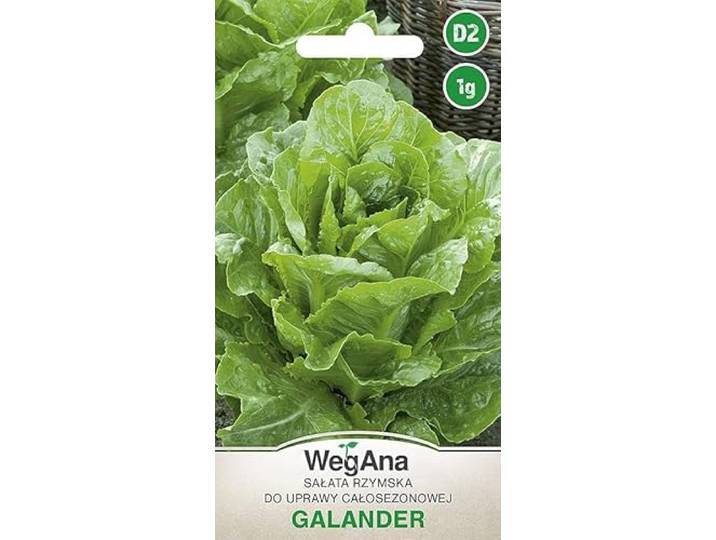 WegAna Galander Romerine sla zaden 1g, Medium Vroege Robuuste Groentezaden, Groentezaden, Zaden voor Groei, Zaden voor Serre