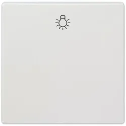 Siemens 5TG7141-0TW20 DELTA style Wippe mit Symbol Licht, titanweiß 5TG71410TW20