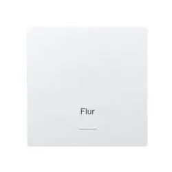 Eltako Wippe für Funktaster W-F1T55E-wg