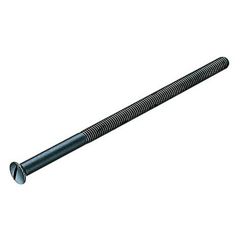 Hager Zierbeschläge Befestigungsschrauben M 6 (Türgriff) (60.1965.14 M6X100HS)