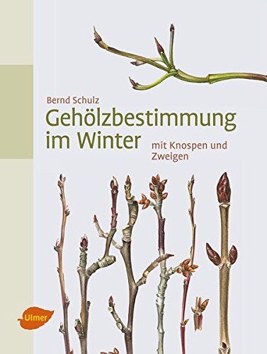 Bernd Schulz - Gehölzbestimmung im Winter: mit Knospen und Zweigen - Preis vom 11.10.2026 15:43:13 h