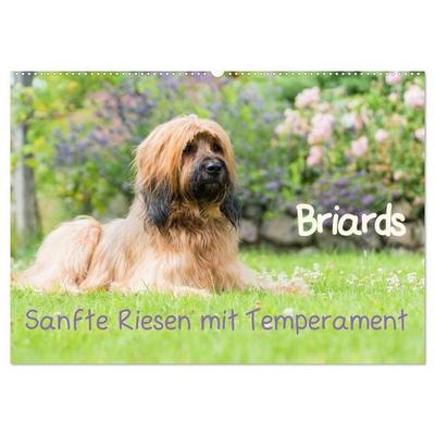 Briards - sanfte Riesen mit Temperament (Wandkalender 2027 DIN A2 quer), CALVENDO Monatskalender