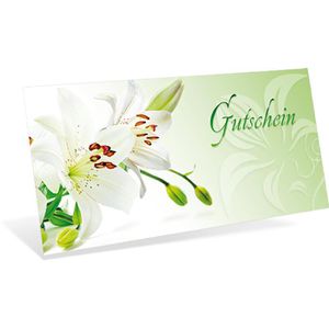 notizblock24 Gutscheinkarte Frühjahr, 19 x 9cm, Motiv: Blüten, 10 Stück