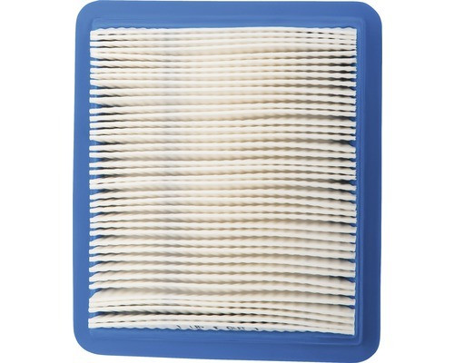 Briggs & Stratton filter voor alle Quantum motoren