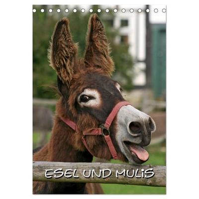 Esel und Mulis (Tischkalender 2027 DIN A5 hoch), CALVENDO Monatskalender