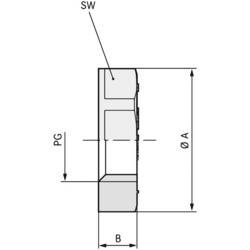 LAPP 52000110 SKINDICHT GMK PG 7 RAL 7035 LGY Gegenmutter PG7 Polystyrol (EPS) Lichtgrau (RAL 7035) 100 St.