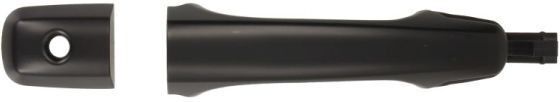 BLIC 6010-24-022401P Door Handle