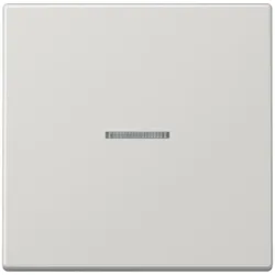 Jung Taster 1fach BT LS 17101 LG