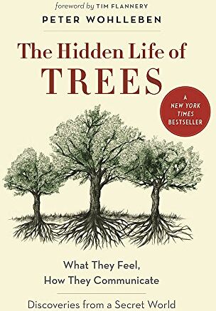 Peter Wohlleben - The Hidden Life of Trees: What They Feel, How They Communicate—Discoveries from a Secret World - Preis vom 09.10.2026 07:28:09 h