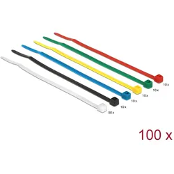 DELOCK Kabelbinder 100mm 100Stk farbig