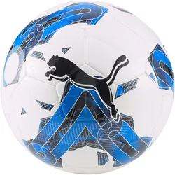 Puma, Fussbälle, (5)