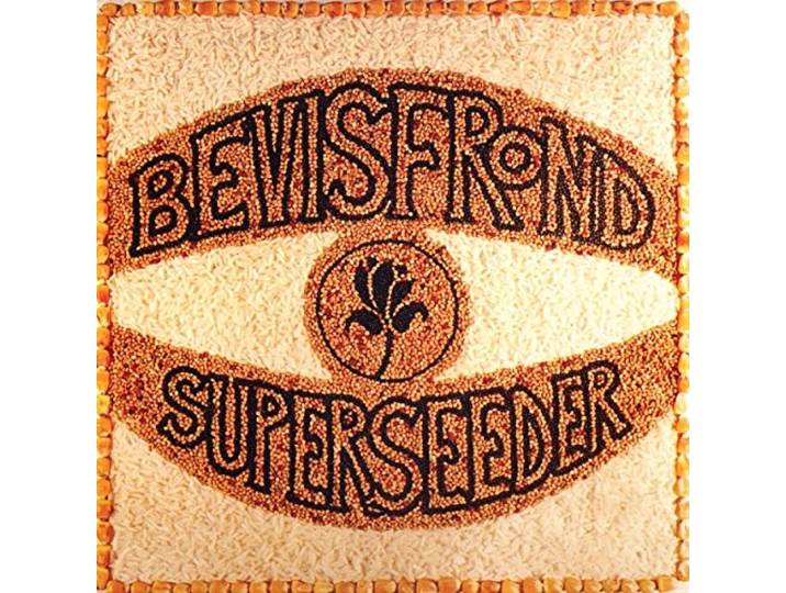 Bevis Frond - Superseeder