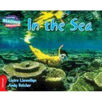 Cambridge Reading Adventures in the Sea Red Band, Taschenbuch von Claire Llewellyn, Cambridge University Press, 978-1-107-57578-3