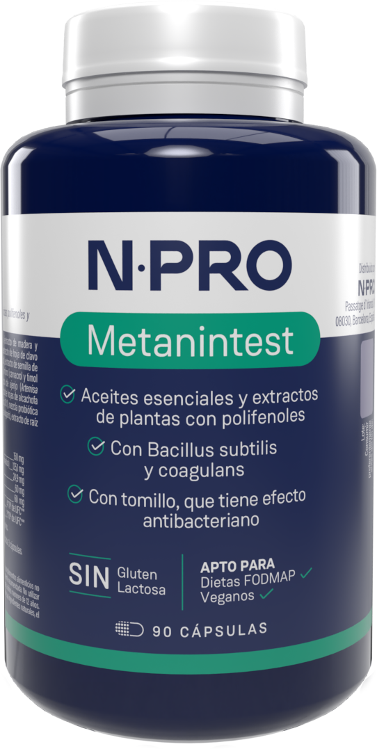 NPro Metanintest 90 Capsules