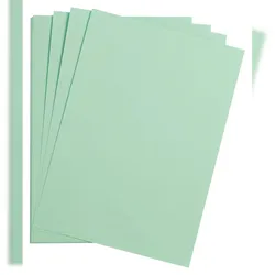 Clairefontaine Maya Fotokarton 50x70cm 270g 25 Bogen - Minze 97268C