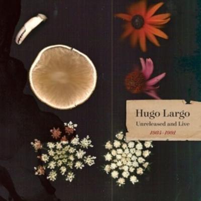Huge,Large and Electric: Hugo Largo 1984-1991 - Hugo Largo, Vinyl