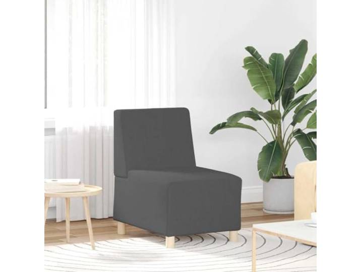 KTHLBRH Sofa-Modul ohne Armlehnen, 2 Stück, Dunkelgrau Vielseitig, elegant, geeignet für modernes Wohnzimmer, erweiterbares Set