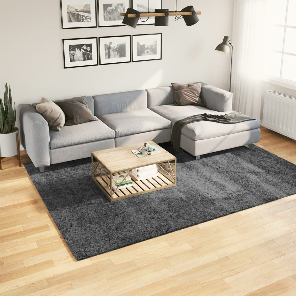Brayden Studio Studio Rug Short Pile Anthracite Rectangle 200 x 280cm