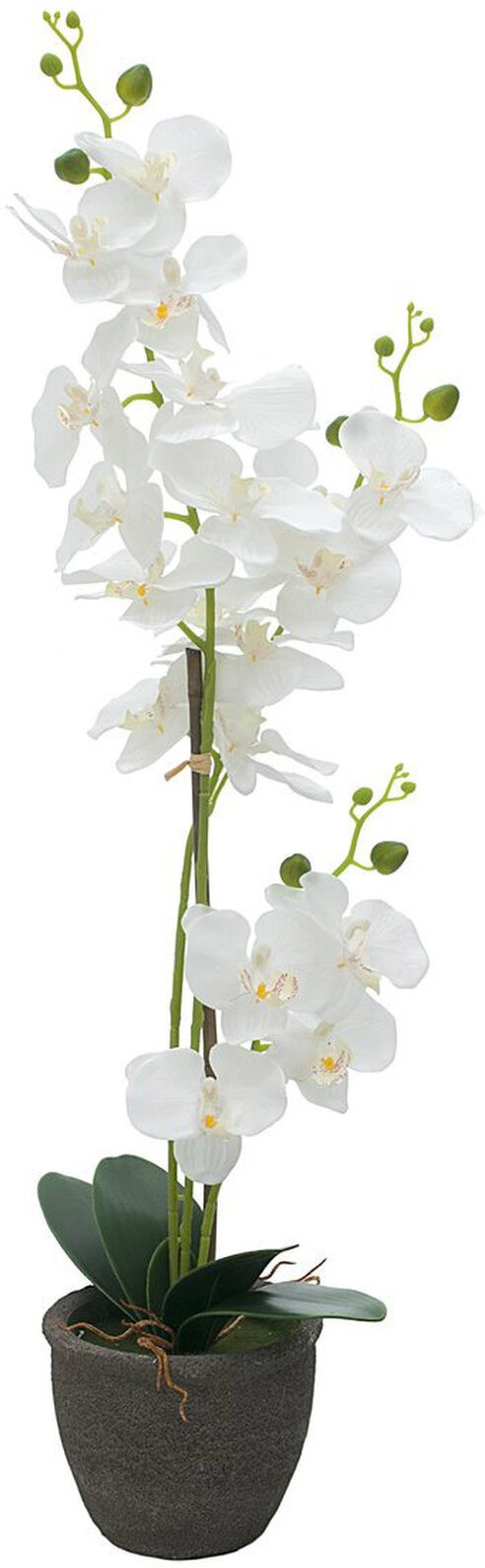 Europalms Orchidee, Kunstpflanze, Weiß, 80cm