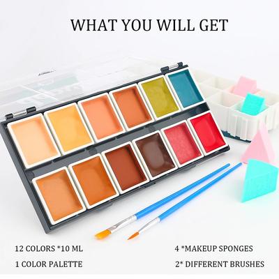 Alcohol Activated SFX Palette 12 Color Waterproof Artist Collection Alcohol Activated SFX Palette 12 Color Waterproof Artist Collection