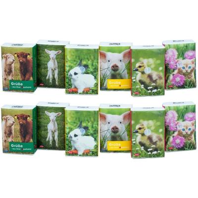 Taschentücher Pocket Tierkinder 2x 2x336x7 St Tücher