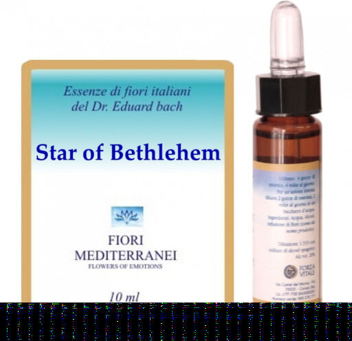 Forza Vitale Fm 29 Stern von Bethlehem 10ml