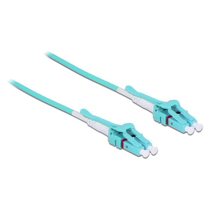 Delock Netzwerkkabel (10 m) (85131)