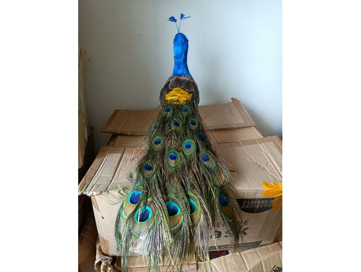 Nouveau modèle de simulation de paon en mousse et plumes, décoration de jardin, cadeau d'environ 60cm, p2696