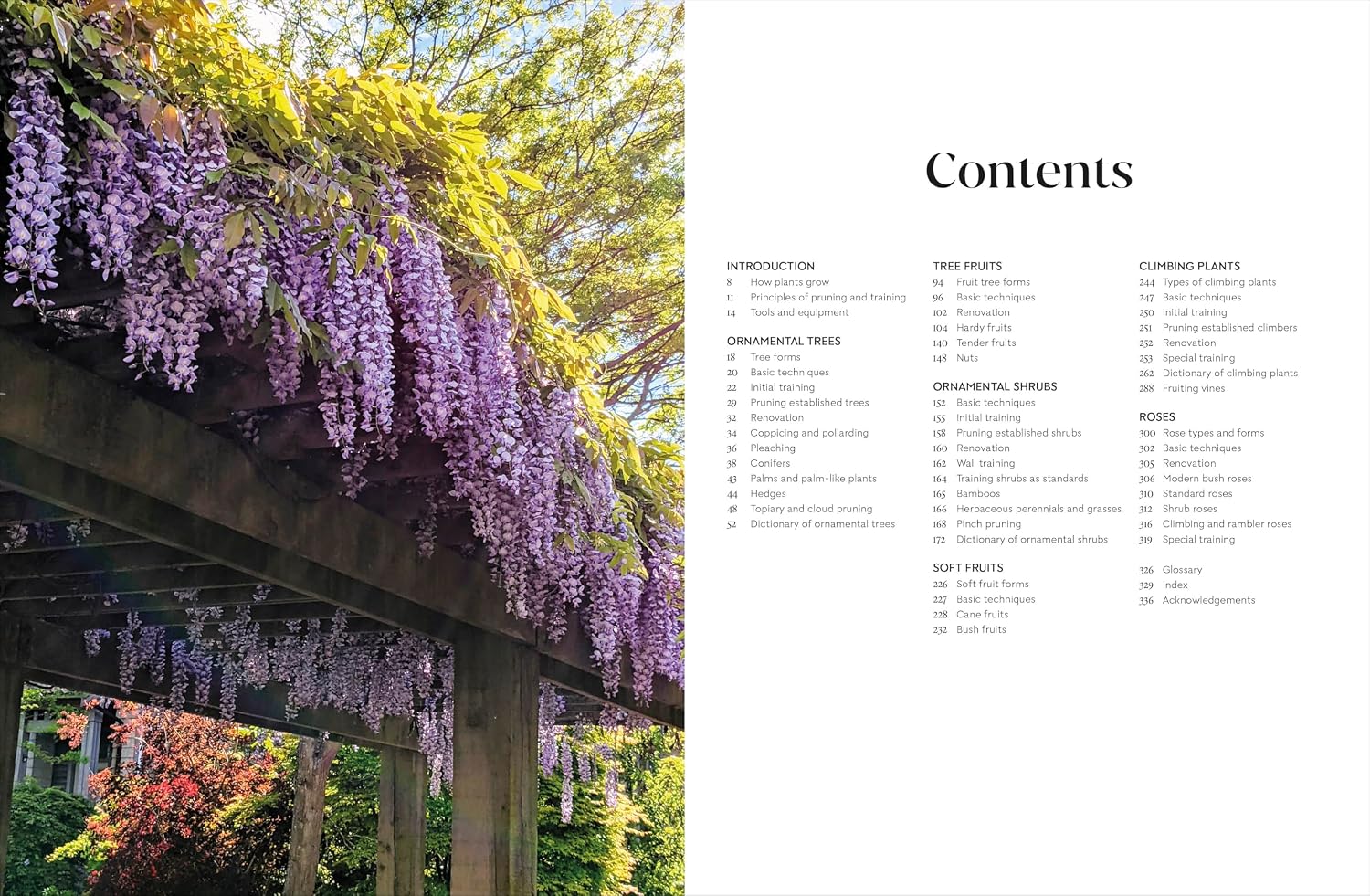 DK RHS Pruning And Training - Revised New Edition Over 800 Plants - What When And How To Prune