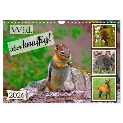 Wild, aber knuffig! (Wandkalender 2026 DIN A4 quer), CALVENDO Monatskalender