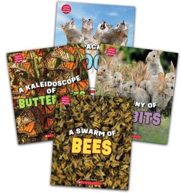 Learn About Animals Value Pack
