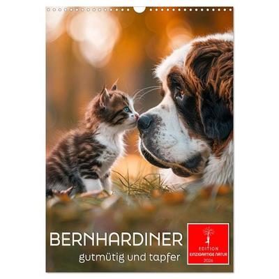 Bernhardiner - gutmütig und tapfer (Wandkalender 2026 DIN A3 hoch), CALVENDO Monatskalender
