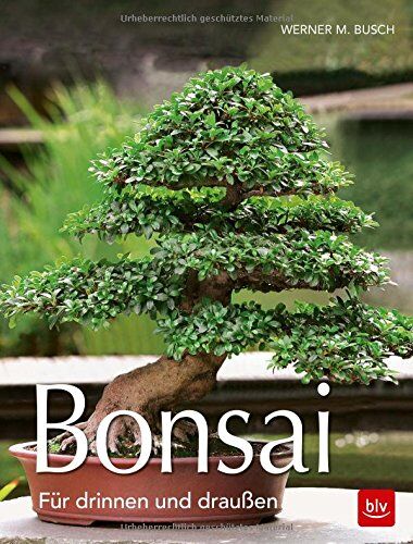 Busch, Werner M. - Bonsai: Für draußen und drinnen - Preis vom 09.10.2026 07:28:09 h