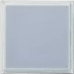 Gira Info-Modul für Türstation 126400