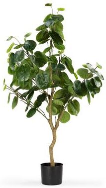 Enova Floral Enova Home Realistic Artificial Fiddle Money Bag Tree in Nursery Pot for Office House Living Room Home Decor Indoor