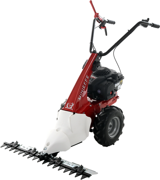 Eurosystems Minieffe - Motofaucheuse  multifonction -  B&S 450E
